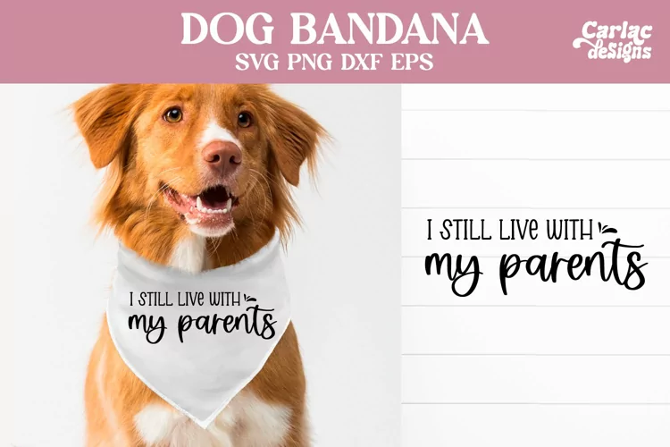 Dog Bandana SVG, I Still Live with my Parents SVG