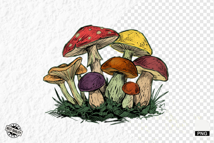 Summer Clipart Image 8
