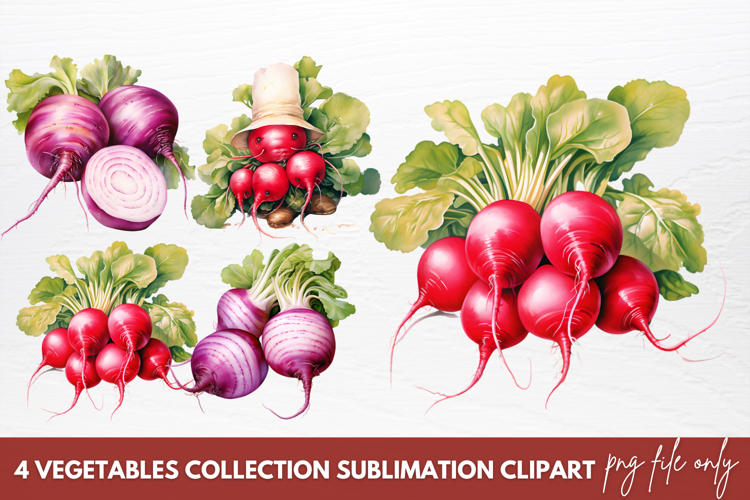 Vegetables PNG Image 7