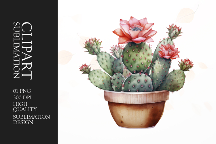 Watercolor Cactus Clipart Image 19