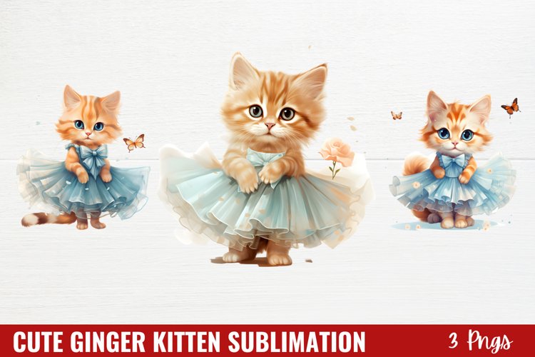 Kitten Png Image 15