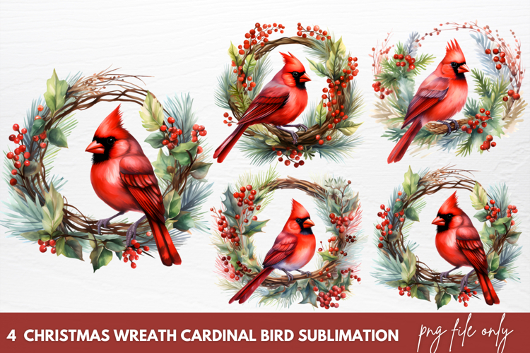 Cardinal Png Image 3