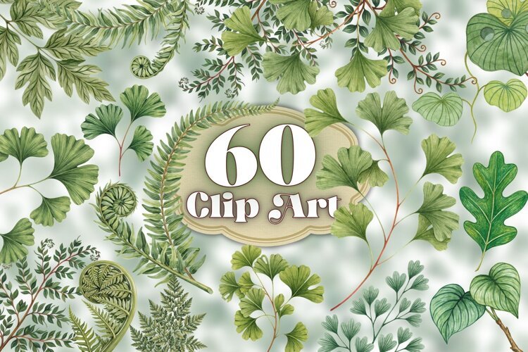 Watercolor Botanical Leaves Clipart PNG