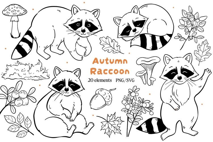 Hand-Drawn Raccoon Clipart PNG SVG