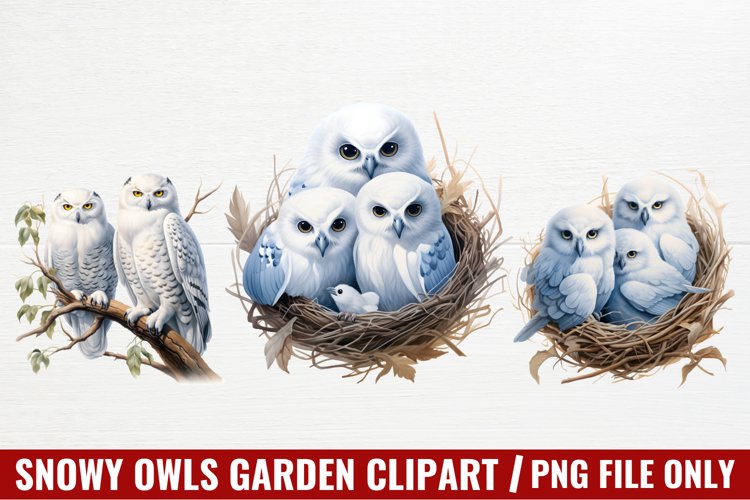 Owl Clipart Image 18