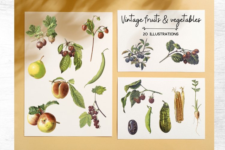 Apple Graphic Image 19