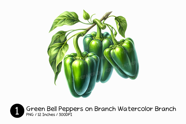 Vegetables PNG Image 11