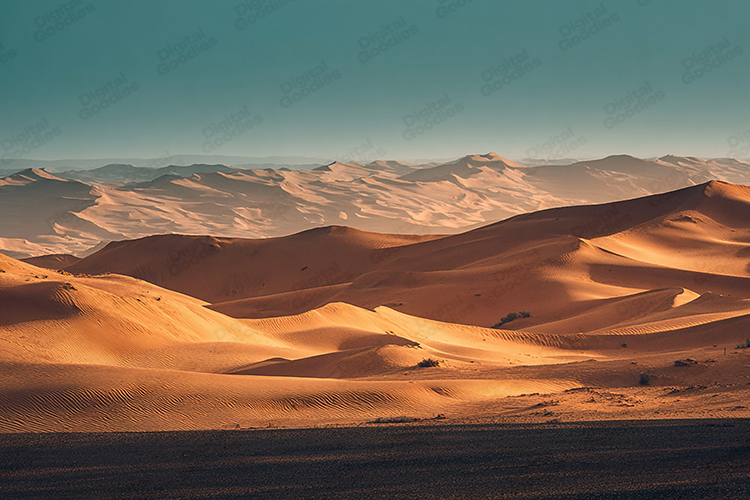 Nature Background Image 7