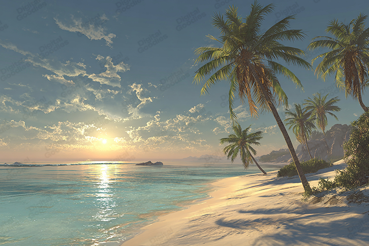 Tropical Beach Sunset Background Calm Ocean Palm Tree Scene