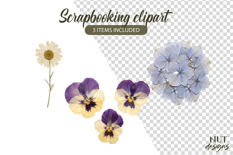 Pressed Flowers Clipart Floral Scrapbooking Daisy hydrangea example image 1