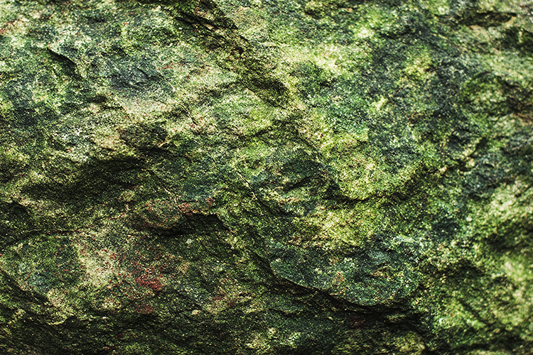 Rock Texture Image 10