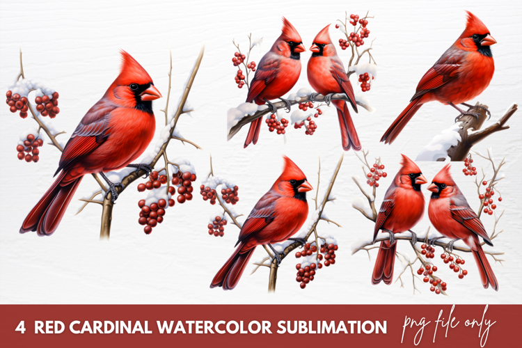 Cardinal Clipart Image 8