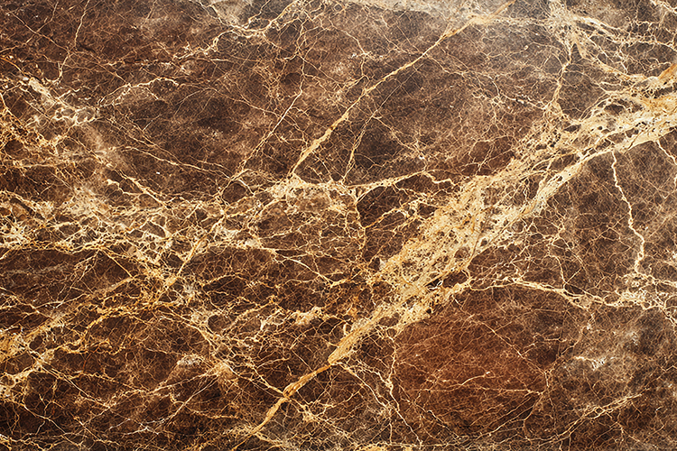 Dark Brown Marble Texture Fine Gold Amber Veins Stone