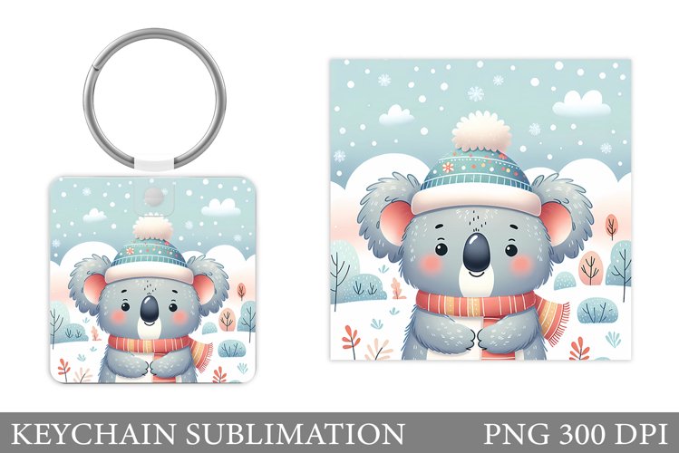 Cute Koala Pictures Image 15