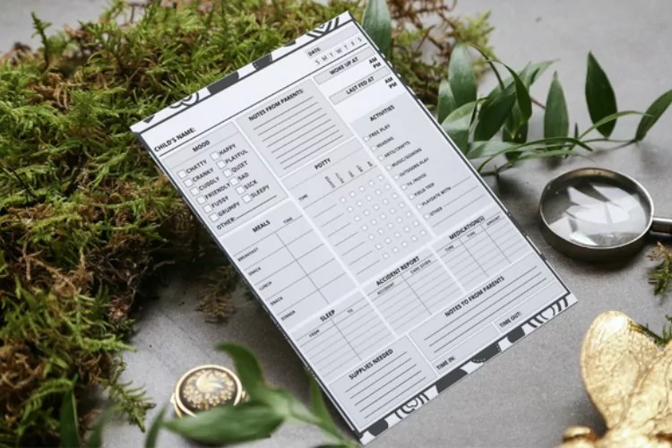 Nanny Daily Log Book Interior