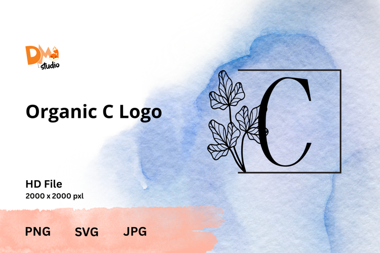 Elegant Logo Design Image 13