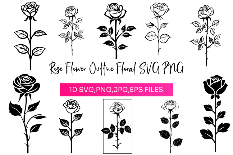 Rose PNG Image 6
