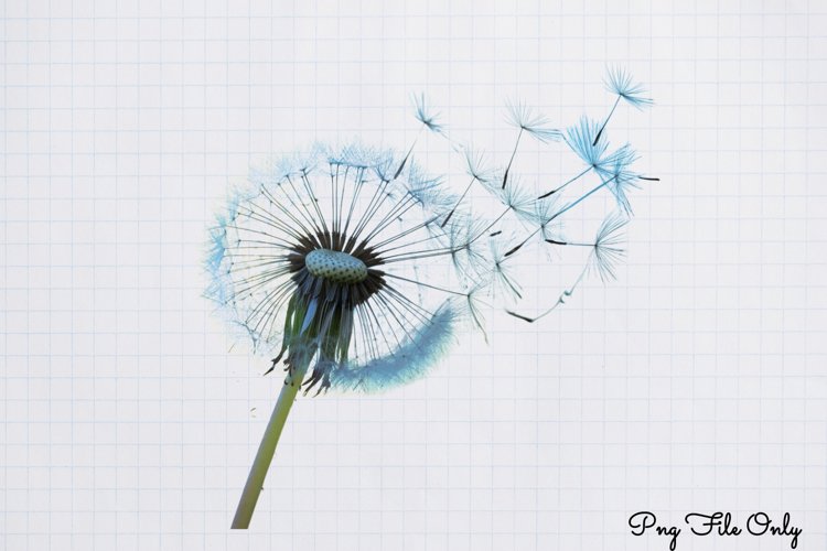 Boho Clipart Image 15