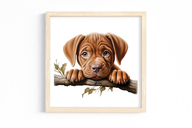 Breeds Of Peeking Dogs Collection Clipart