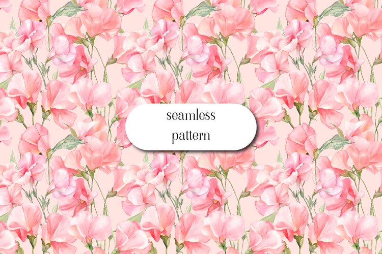 Sweet Pea Floral - Seamless Pattern Pea Flowers example image 1