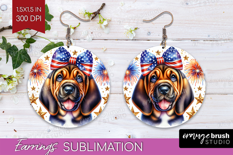 Earrings Png Image 13