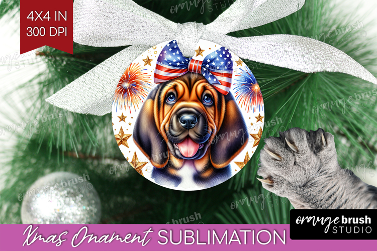 Ornament Png Image 8