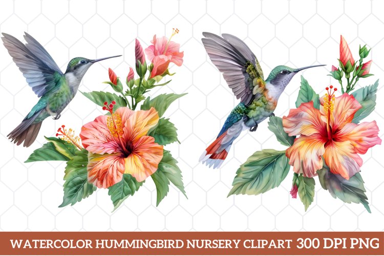 Hummingbird Clipart Image 21