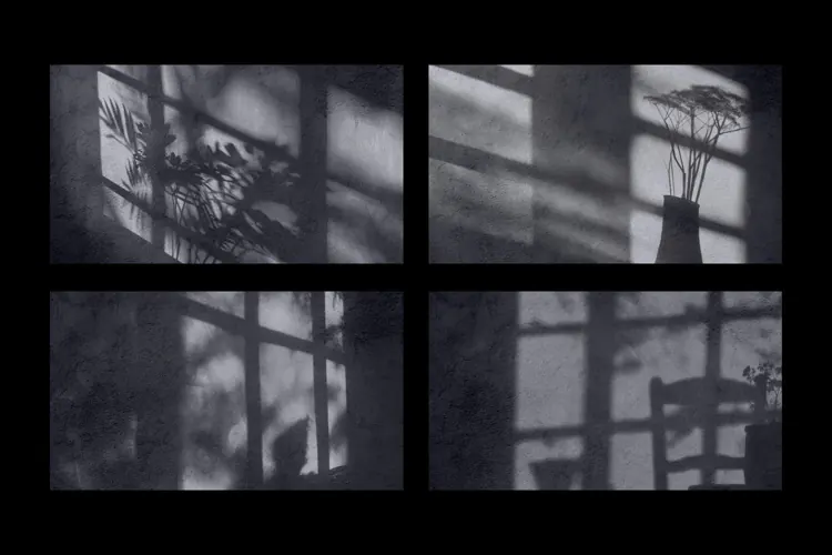 Window Shadows Overlay Textures