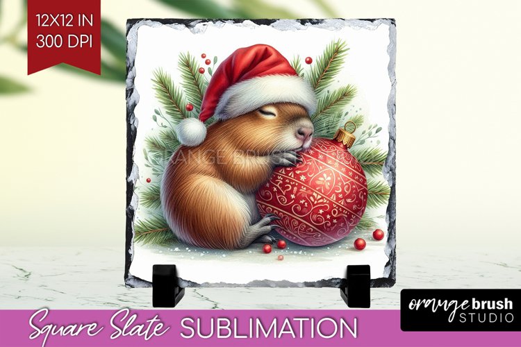 Baby Sublimation Designs Image 10