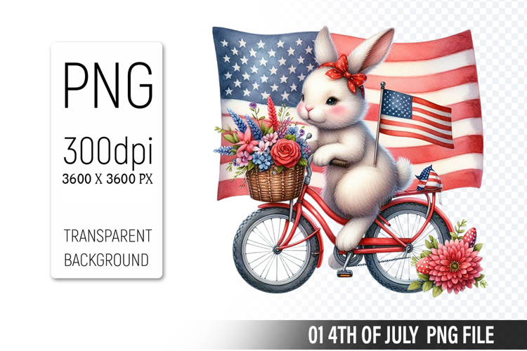 American Flag Png Image 15