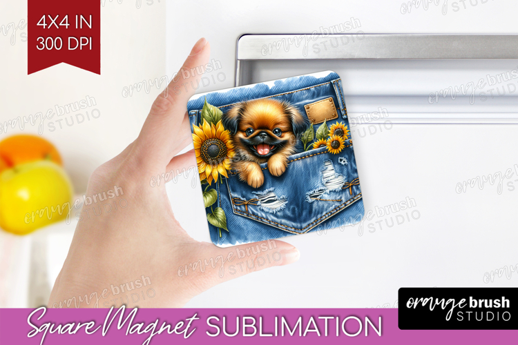 Pocket Png Image 12