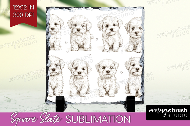Puppy Png Image 8