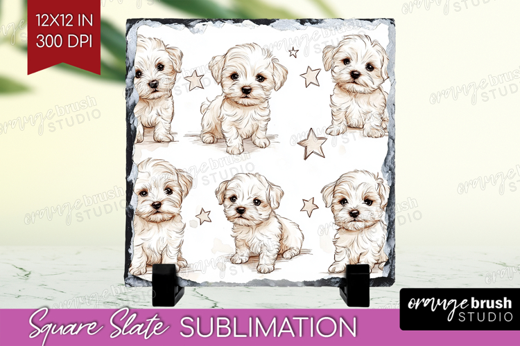 Puppy Png Image 5