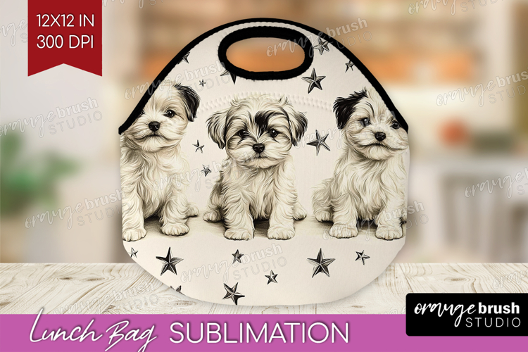 Dogs Png Image 22