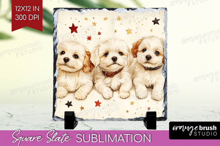 Puppy Png Image 22