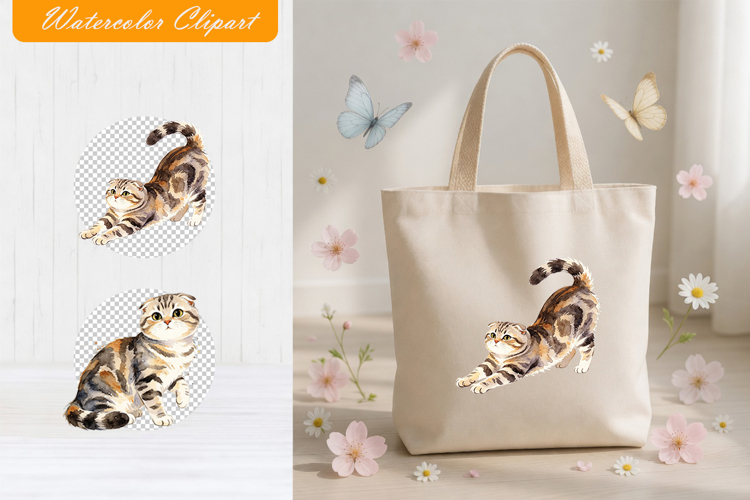Kitten Png Image 4