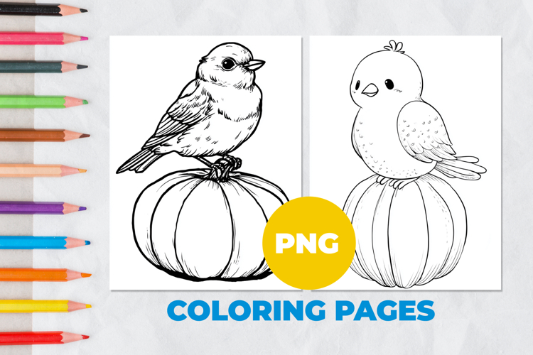 Bird on a pumpkin Coloring Pages | Coloring book