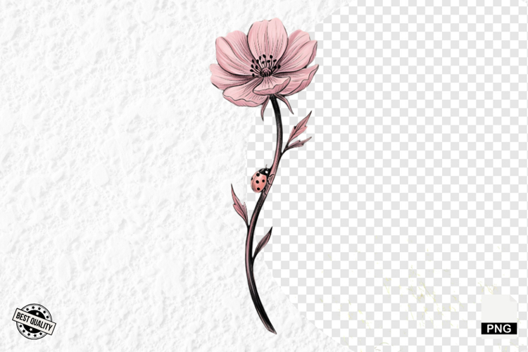 Lady Bug Clipart Image 24