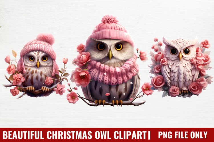 Owl Clipart Image 5