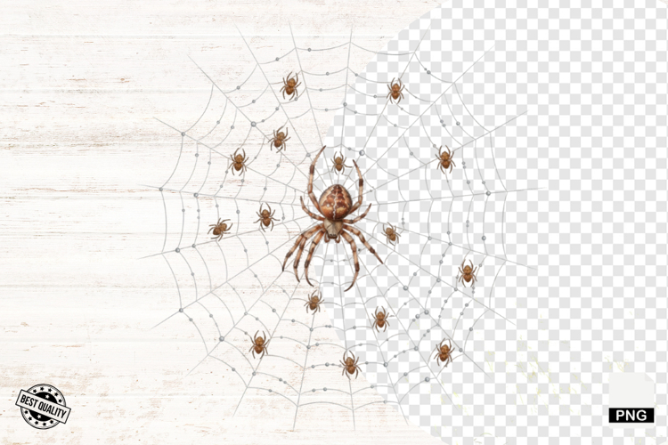 Spider Clipart