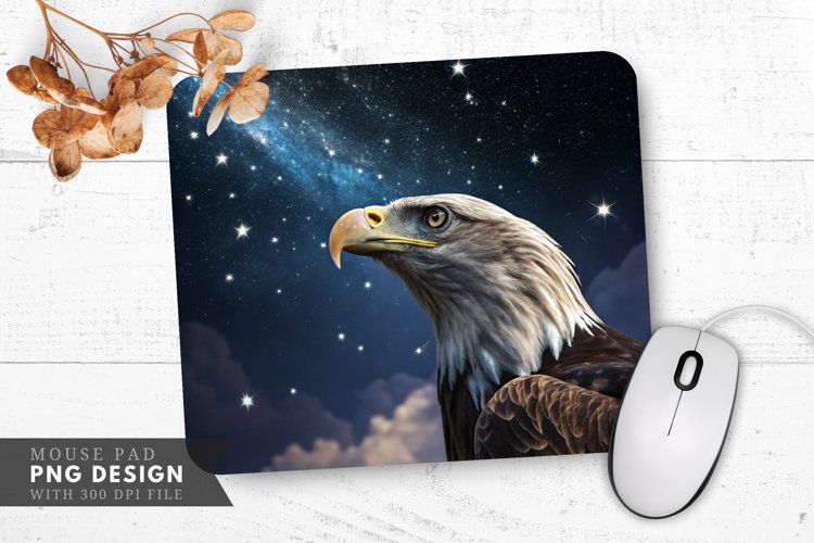 Eagle Png Image 6
