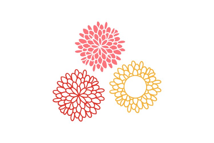 Big Flowers