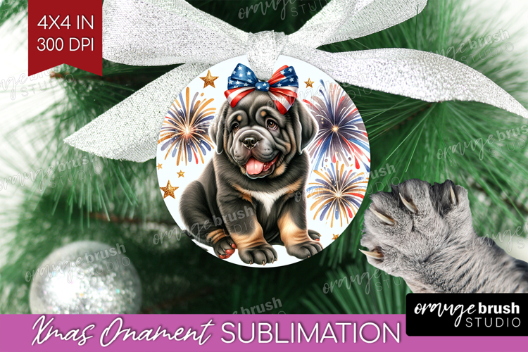 Ornament Png Image 23