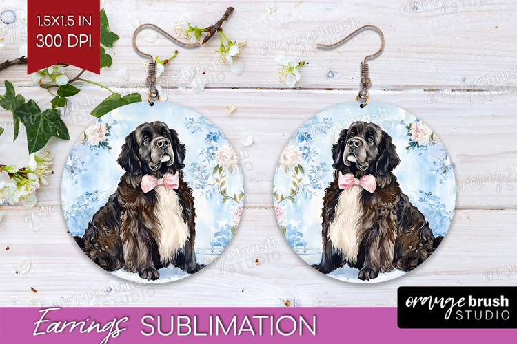 Earrings Png Image 21