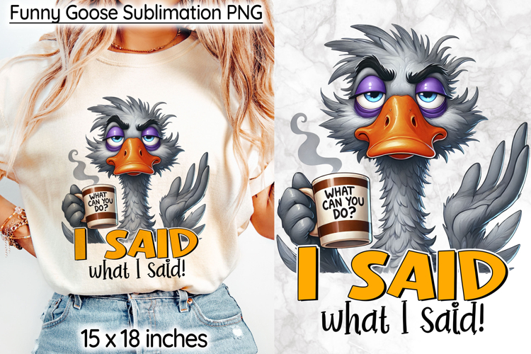 Funny Goose Sublimation, I Said What I Said Sarcastic Print