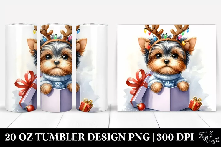 Expressive Baby Yorkshire Terrier Dressed for Winter, 20 Oz