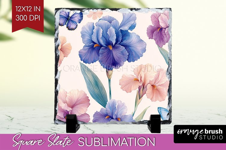 Spring Clipart Image 20
