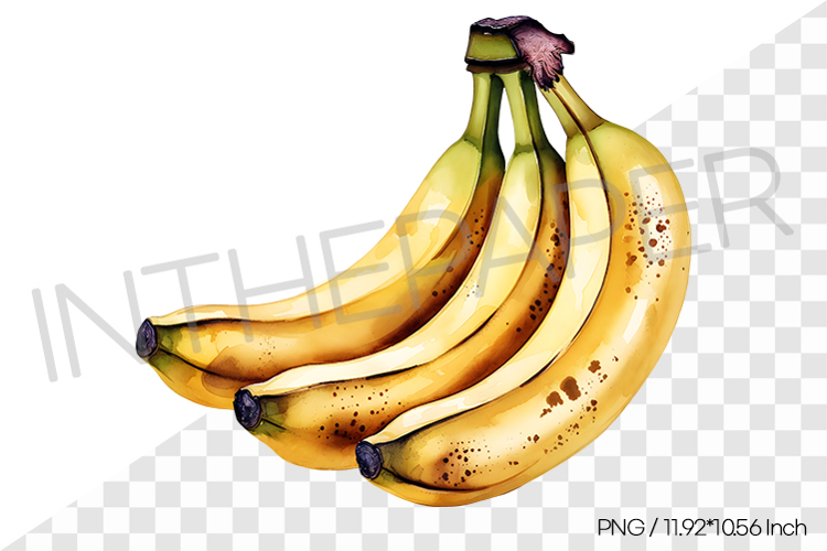 Healthy Snack Clipart Image 21