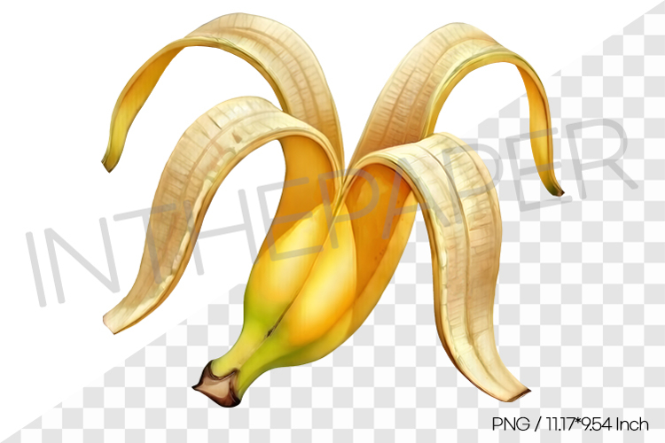 Fruit Vector Image 18