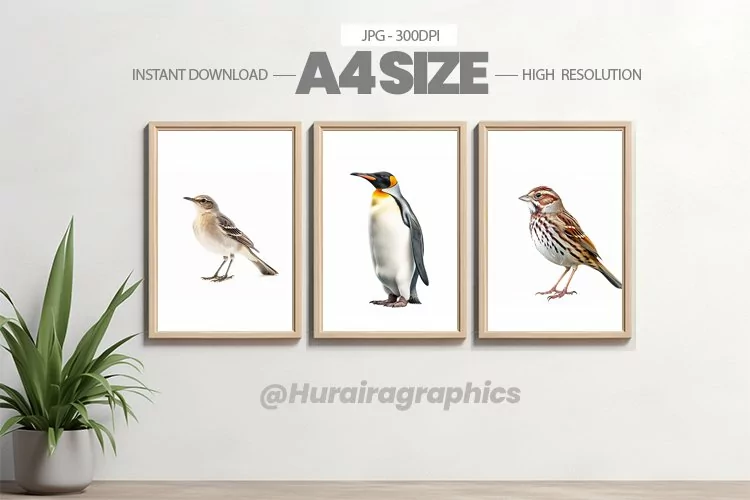Animal Wall Art - 03 Variations